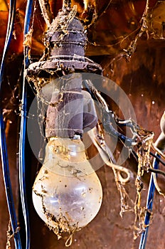 Old dusty light bulb