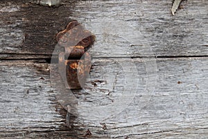 Old dusty rustic hinge on hinge box on grunge texture background. Antique Wooden Chest