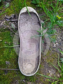 old and dusty white sole from shoes in the woods top view