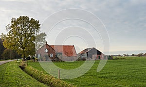 Old Dutch farm in autumn