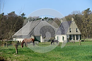 Old dutch farm house