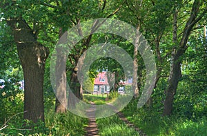 Old dutch farm house in the woods