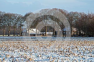 Old dutch farm in winter countryside landscape.