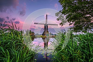 Old dutch windmill at sunset in Kinderdijk, Netherlands