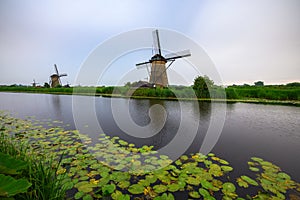Old dutch windmills and a canal with water lilies in Kinderdijk, Netherlands