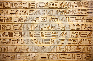 Old egypt hieroglyphs