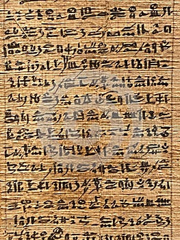 Old egyptian manuscripts and texts , parchment