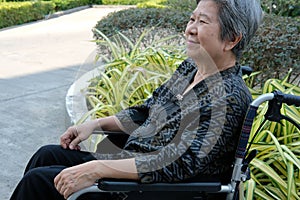 Old elder woman resting in garden. elderly female relaxing outdoors. senior leisure lifestyle