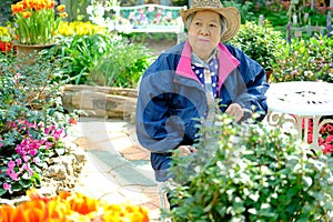 Old elder woman resting in garden. elderly female relaxing outdoors. senior leisure lifestyle