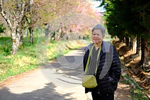 Old elder woman resting in garden. elderly female relaxing outdoors. senior leisure lifestyle