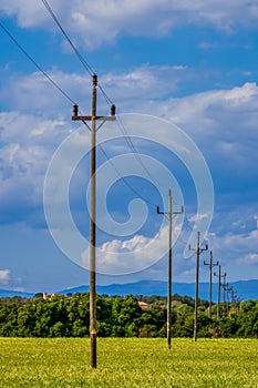 Old electric wooden poles in the field