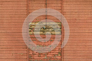 Old electrical light switch and cable on worn wooden shed exterior wall