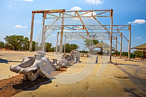 Old elephant abattoir at the Olifantsrus Camp in Etosha National Park, Namibia