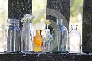 Old empty bottles on fence. Bottles with dry field flowers