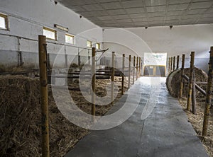 Old empty horse stable stall block in historical farm Benice