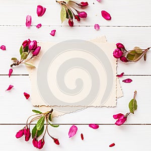 Old empty photo for the inside and frame of apple flowers