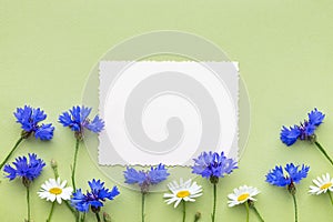 Old empty photo for the inside and frame of summer cornflowers