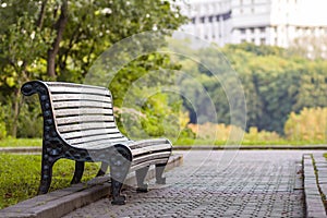 Old empty wooden bench in a shadow of big green tree on bright summer day. Peace, rest, quiet and relaxation concept.