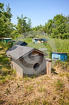 Old empty wooden doghouse in rural bee-garden for a dog guarding beehives