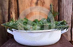 An old enameled bowl filled with fresh fir branches stands against a wooden background