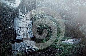 Old English Cemetery in the province of MÃÂ¡laga photo