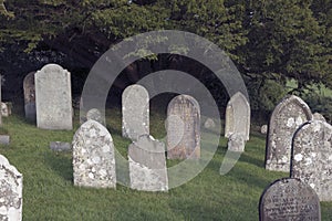 Old english forgotten cementary.  Oblivion concept. Tombstones in the grass, gloomy atmosphere photo