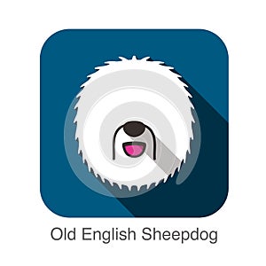 Old English Sheepdog face flat design