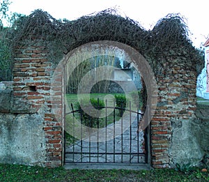 old entrance arch covered with wild vegetation