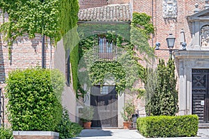 old ivy covered house