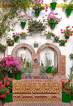 Old European Town - Flower decoration of Wall, Cordoba, Spain photo