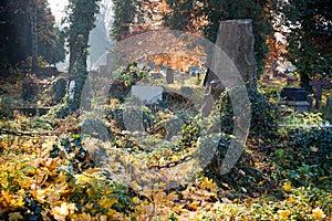 Old evangelical graveyard photo