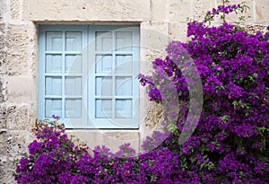 Old facade with blue window and purple flowers