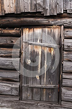 Old faded wooden door on log wall of house.