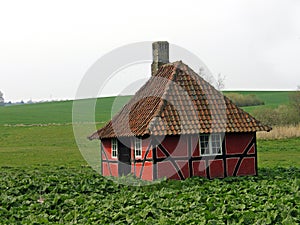 Old fairy tales legends medieval style home