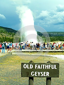 Old Faithful photo