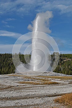 Old Faithful