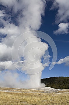 Old Faithful 2