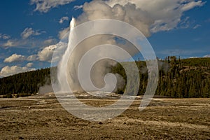 Old Faithful