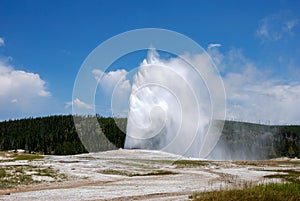 Old faithful, active geysir in Yellowstone National Park