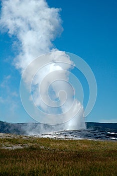 Old faithful, active geysir in Yellowstone National Park