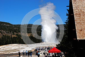 Old Faithful And Crowd