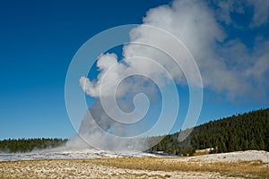 Old Faithful erupting in Yellowstone