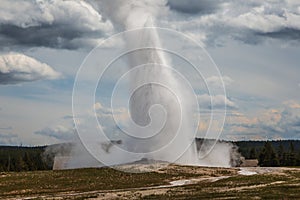 Old Faithful Eruption at Yellowstone National Park