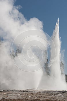 Old faithful erupts in yellowstone national park