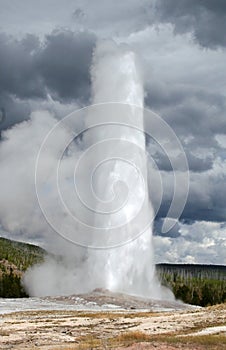 Old Faithful Geyser