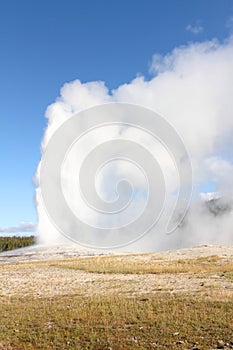 Old Faithful Geyser