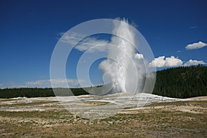 Old faithful geyser photo