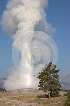 Old Faithful Geyser