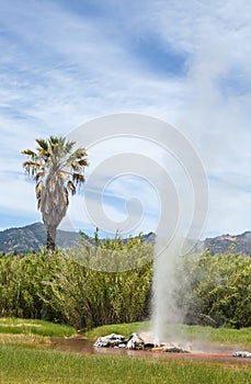 Old Faithful Geyser of California