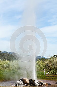 Old Faithful Geyser of California